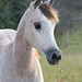 Nancy Richter Photo 35