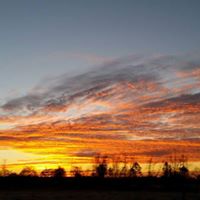 Michele Mcduffie Photo 4