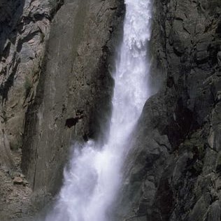 Carolyn Watson Photo 38