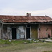 Elizabeth Hyman Photo 12