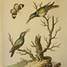 Edward Vogel Photo 26