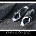 Linda Haring Photo 23