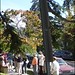 Susan Berryman Photo 17