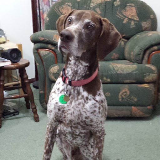 Eric Harrison Photo 49