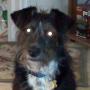 Debbie Thornton Photo 45