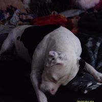Sally Web Photo 3