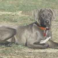 Bill Summers Photo 25