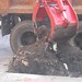 Debra Edmunds Photo 22