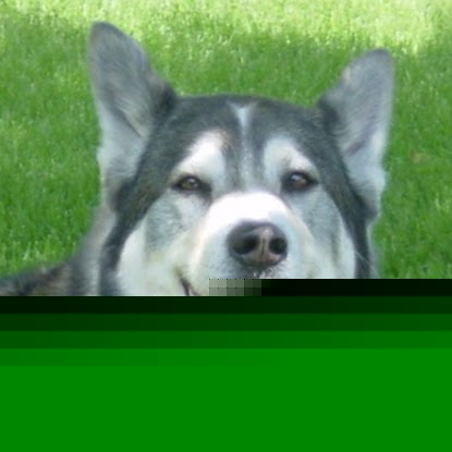 Peter Sherman Photo 43