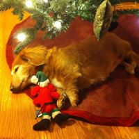 Holly Sawyer Photo 38