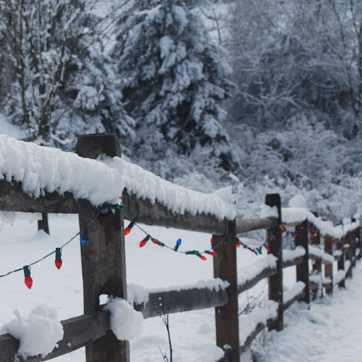 Chris Light Photo 38