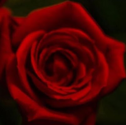 Tabitha Bowers Photo 20