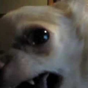 Carol Hopper Photo 25