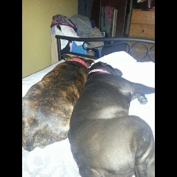 Julie Slack Photo 12