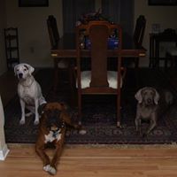 Sandra Blackwell Photo 15