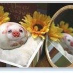 Daniel Stock Photo 35