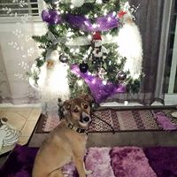 Sharon Fisher Photo 23 Sharon Fisher Photo 23