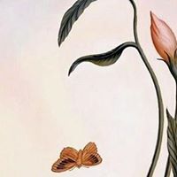 Gina Vitiello Photo 7