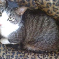 Roger Stanley Photo 21