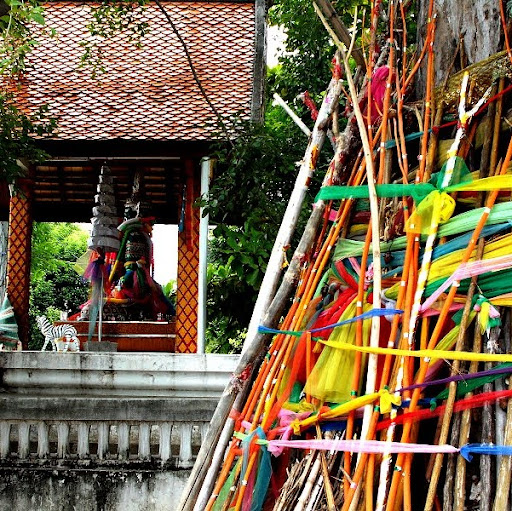 Stephanie Ritter Photo 25