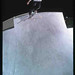 Lee Bender Photo 9