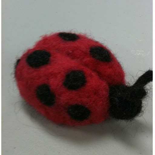 Gail Brown Photo 24 Gail Brown Photo 24