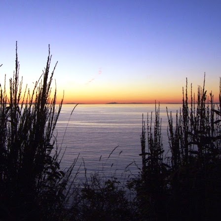 Elizabeth Glover Photo 16