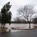 Gale Flood Photo 7