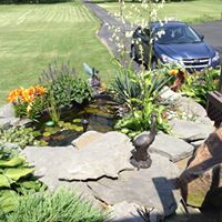 Laurie Joiner Photo 10