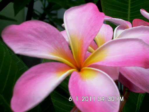 Theresa Welch Photo 36