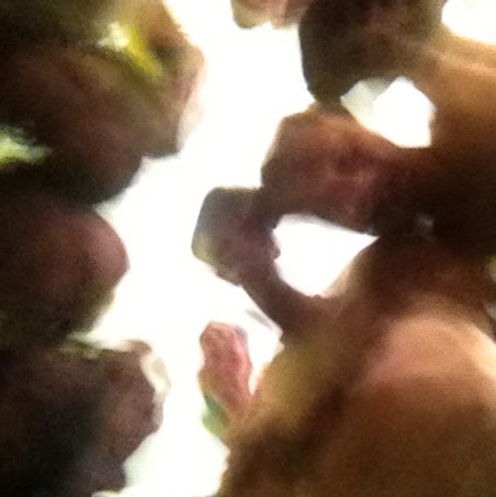 Jeremy Nance Photo 14