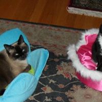 Loretta Rose Photo 41