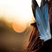 Kristin Fuller Photo 6