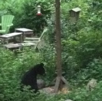 Laurie Erickson Photo 24