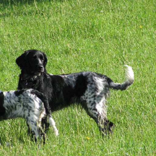 Jillian Simmons Photo 7