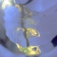 Erica Gregory Photo 38