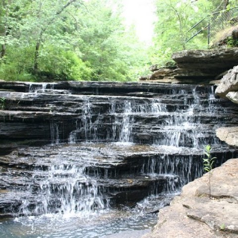 James Weatherly Photo 29