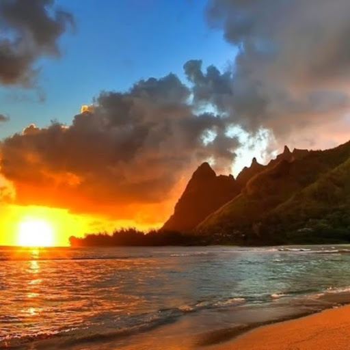 Brandon Rohr Photo 15