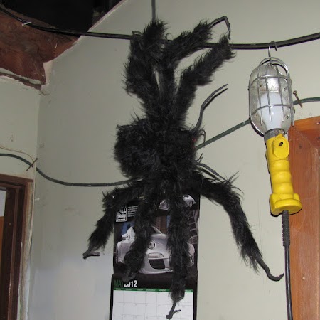 Kenneth Garland Photo 18