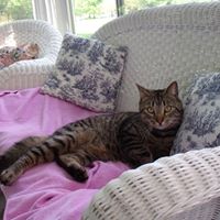 Jane Rector Photo 17