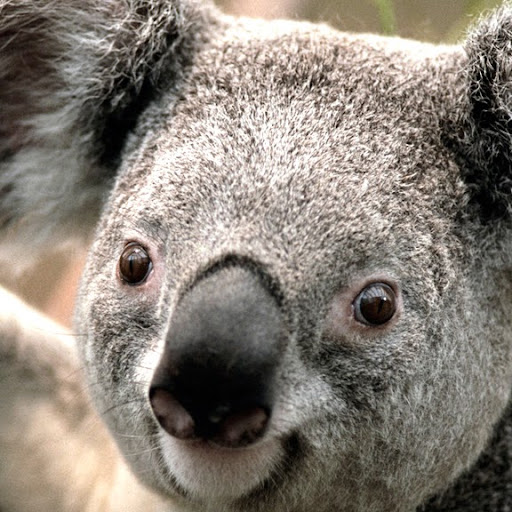 Sherry Kaiser Photo 6