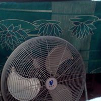 Elijah Watson Photo 22