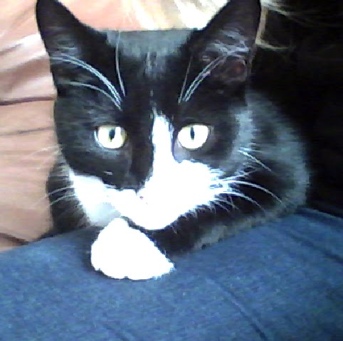 Nicole Hutton Photo 11