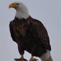 Jim Meadows Photo 15