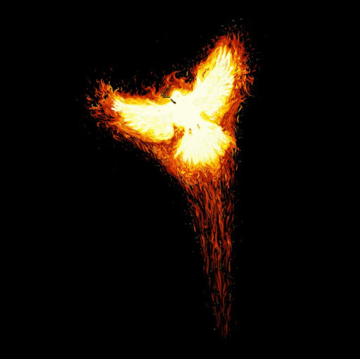 Tim Nicholson Photo 48