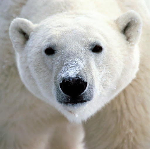 Maria Reeves Photo 10