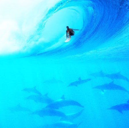 Anthony Dasilva Photo 16