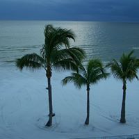 Sandy Mcdowell Photo 32