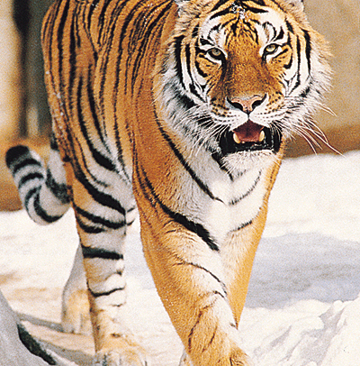 Manuel Quito Photo 17