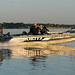 Elizabeth Coons Photo 19